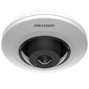 HikVision	DS-2CD2955G0-ISU(1.05mm)	5MP Fixed Fishe...